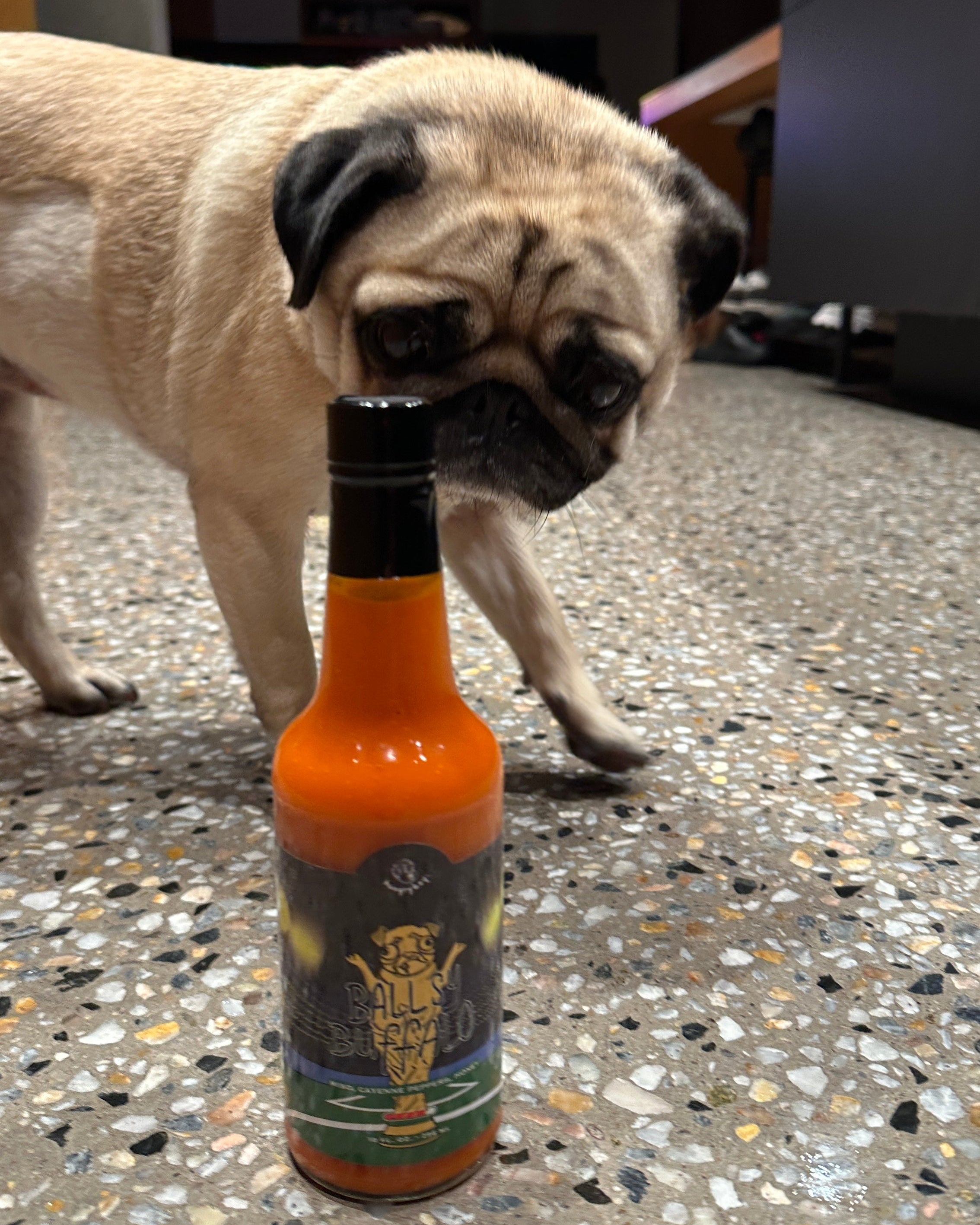 Limited Edition Big Boy & Ballsy Buffalo Sauce